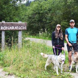 Dogtrekking Wochen