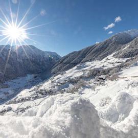 Winter