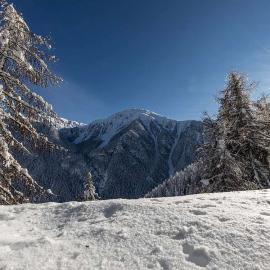 Winter