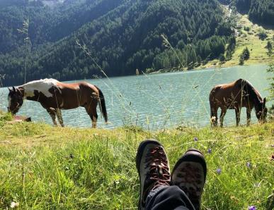 La gioia di cavalcare