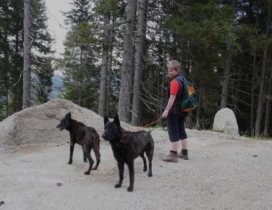 Vacanze con il cane qui da noi all’Hotel Martellerhof