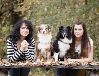 Vacanze con il cane qui da noi all’Hotel Martellerhof
