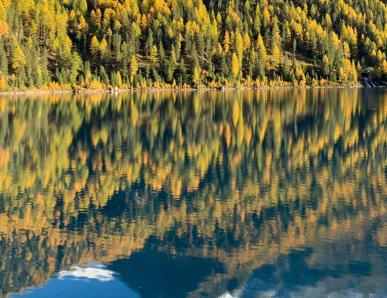 Wandern im Martelltal
