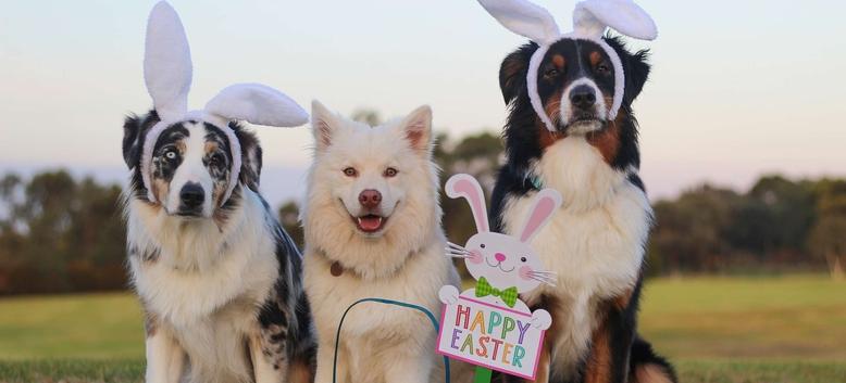 Ostern in Martell Ostern in Martell