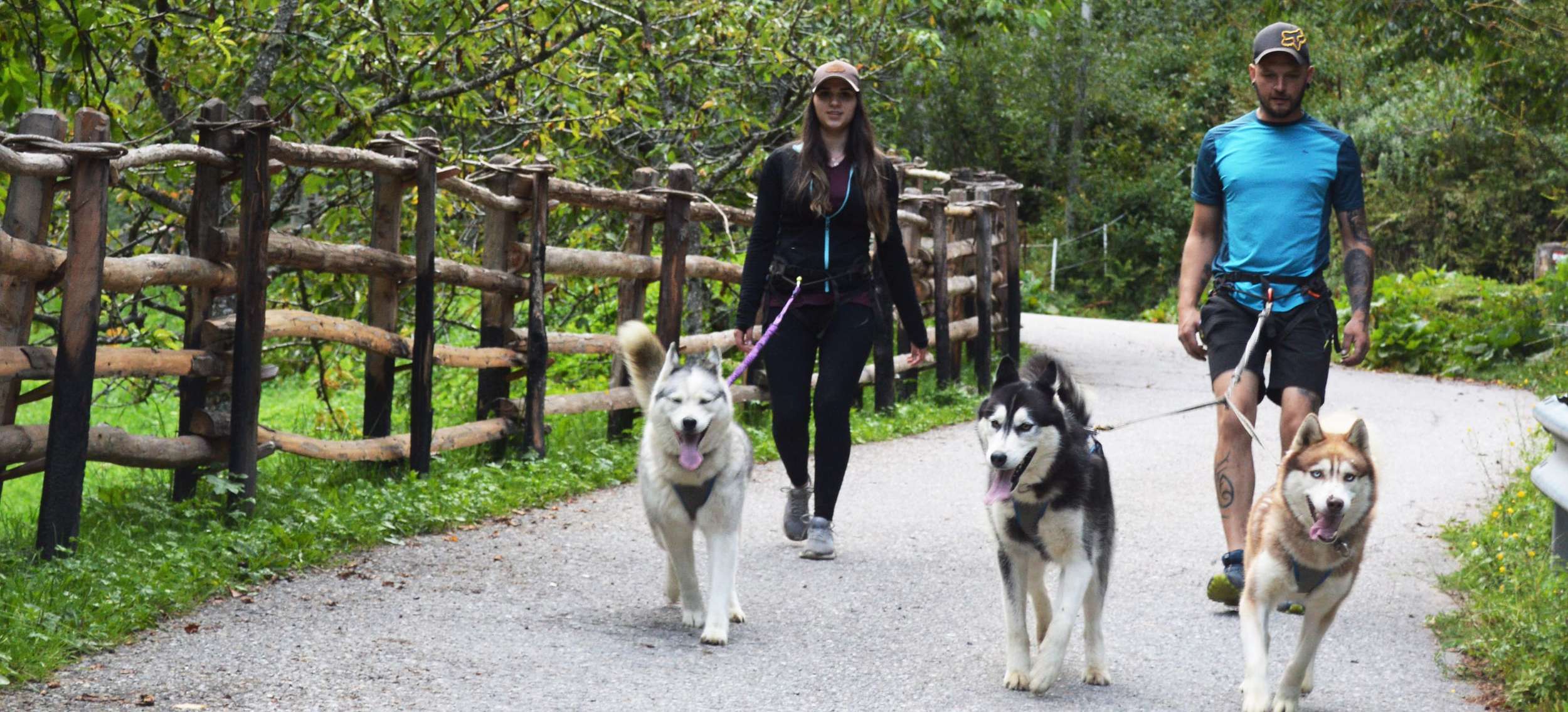 Leute mit hund kennenlernen